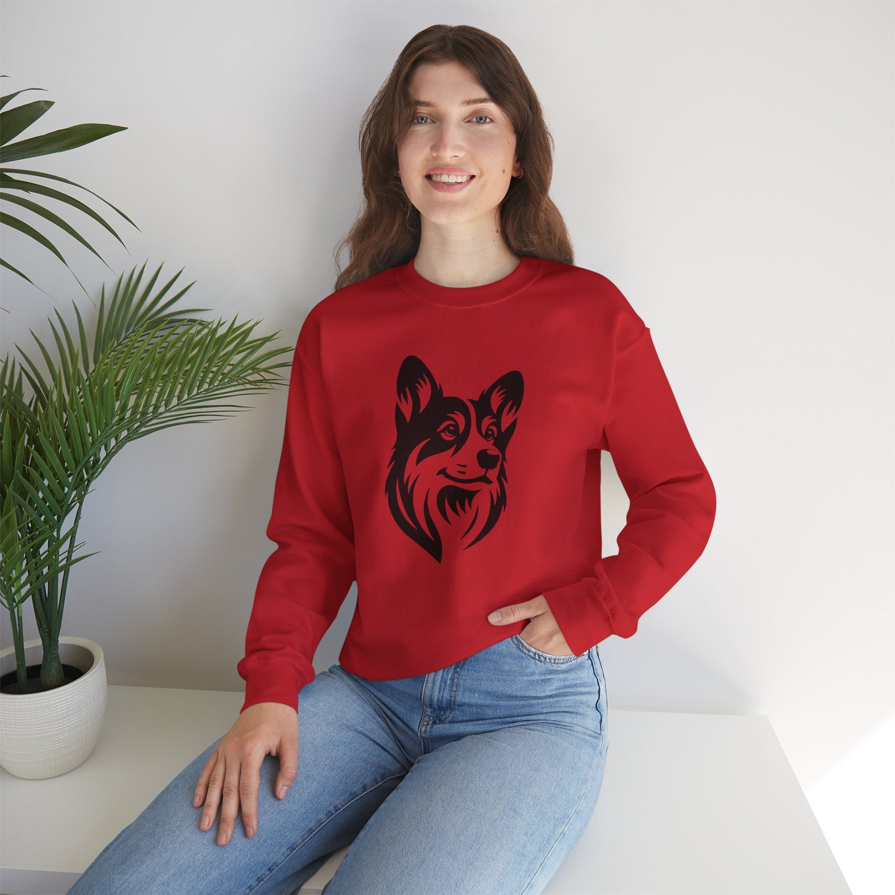 black corgi on red sweatshirt