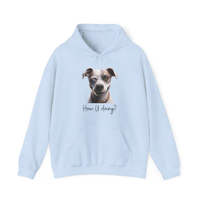 flirty dog on light blue sweatshirt 