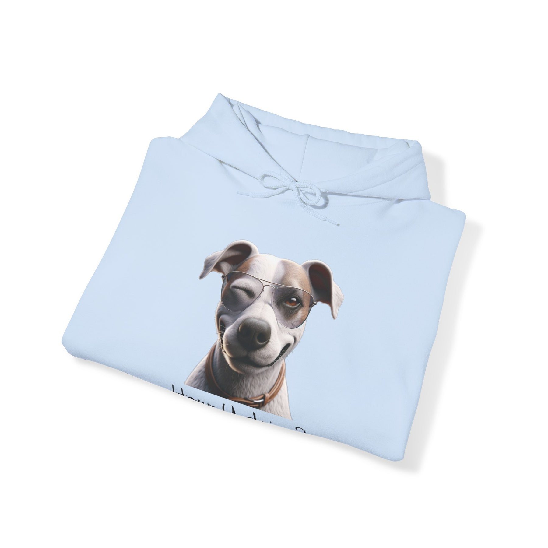 flirty dog on light blue sweatshirt 