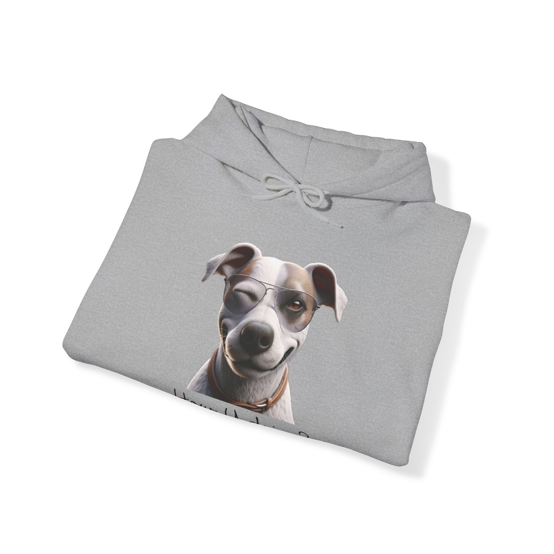 flirty dog on sport gray sweatshirt 