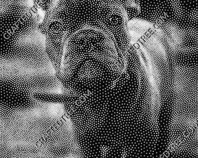 French Bulldog Stipple Art CNC File